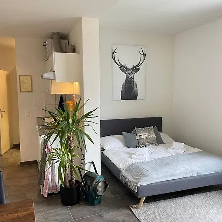 Casa Di Alex Arosa